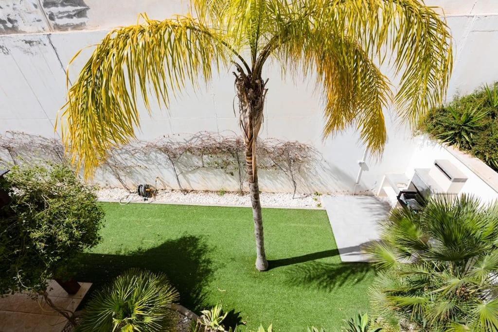 Villa Joya II San José Exteriör bild